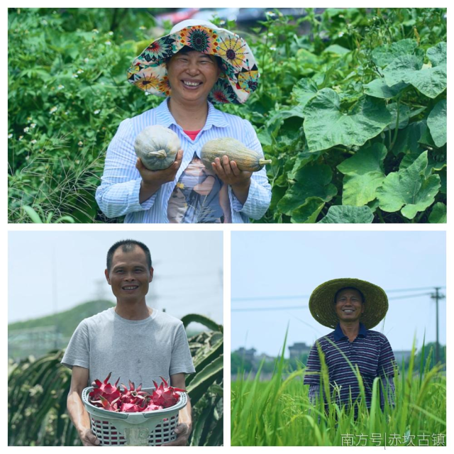 村民喜獲豐收，幸福感滿(mǎn)滿(mǎn)