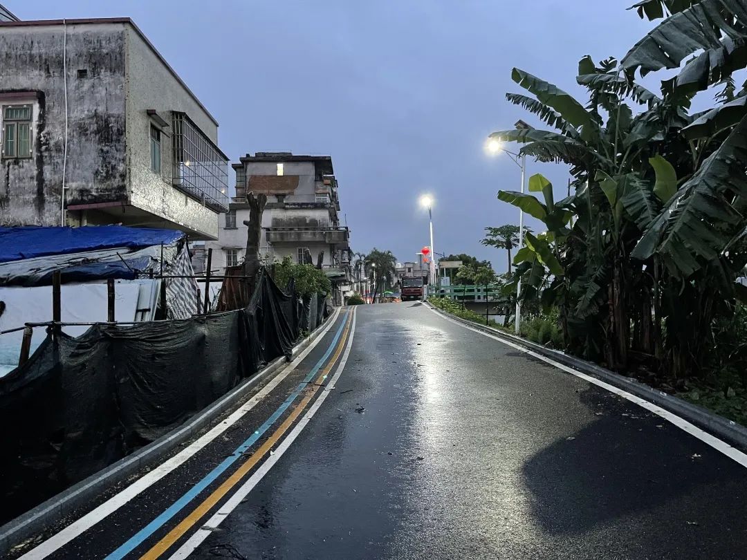 8修剪后，道路變得亮堂，附近村民的安全隱患也得到了解決.jpg