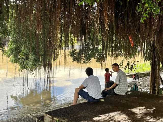 村民在大榕樹(shù)下乘涼聊天，黃姨（中）在岸邊唱歌。伍思懿 攝 