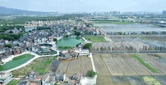 從長(zhǎng)沙街道西溪村上空俯瞰，遠(yuǎn)處青山疊翠、高樓聳立，近處屋舍儼然，池塘星羅棋布，農(nóng)田成方連片