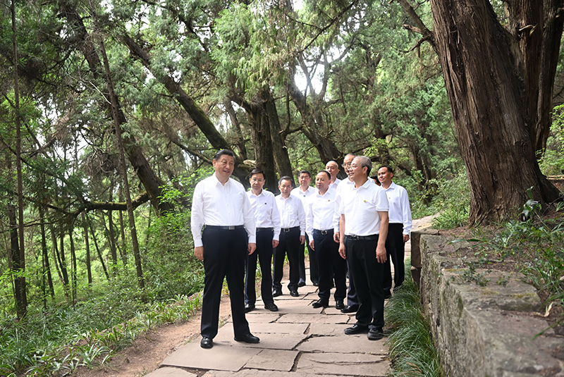 7月25日至27日，中共中央總書記、國家主席、中央軍委主席習(xí)近平在四川考察。這是25日下午，習(xí)近平在廣元市劍閣縣翠云廊考察。