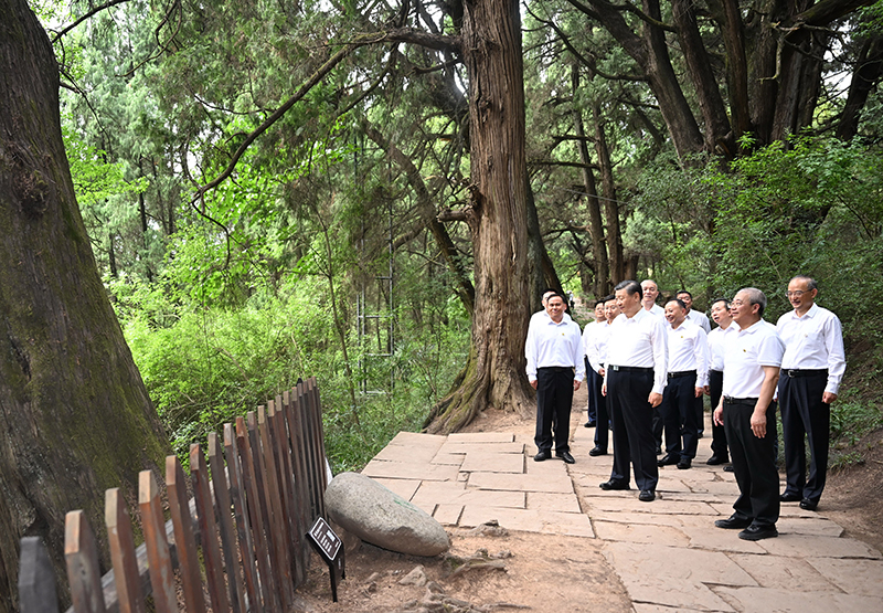 7月25日至27日，中共中央總書記、國家主席、中央軍委主席習(xí)近平在四川考察。這是25日下午，習(xí)近平在廣元市劍閣縣翠云廊考察。