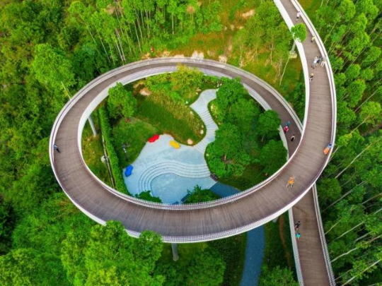 珠海紅花山森林公園。圖源：南方+ 