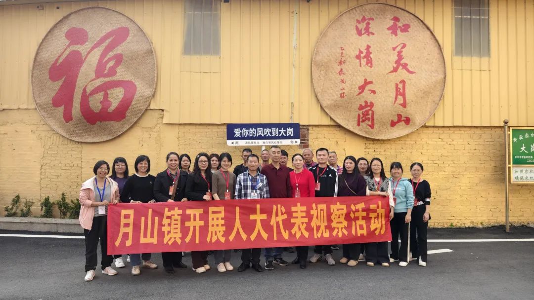 助力“百千萬工程”，月山人大在行動——月山鎮(zhèn)人大開展第一季度視察活動