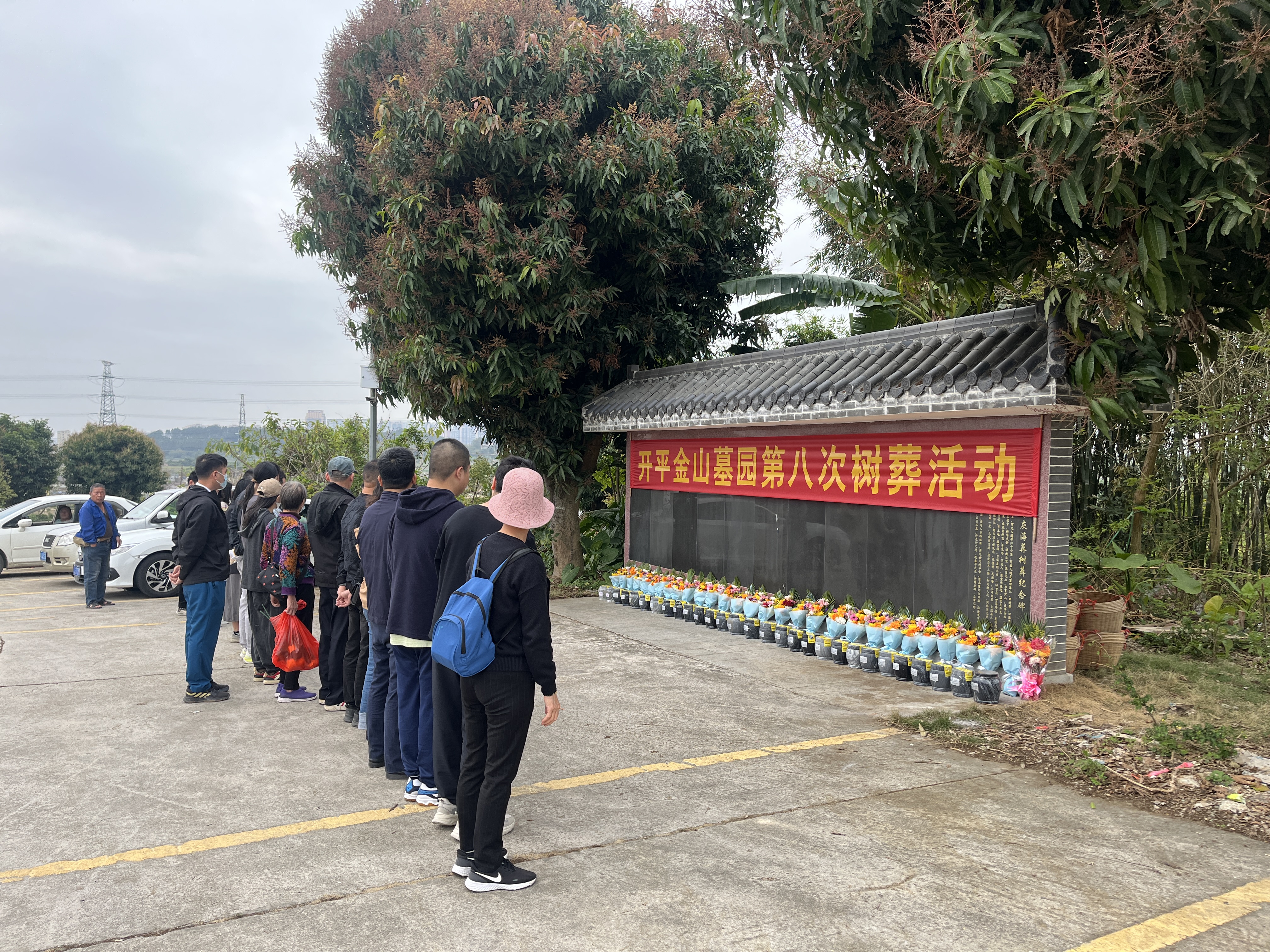 我們的節(jié)日·清明 開平市成功舉辦第八次集體樹葬活動
